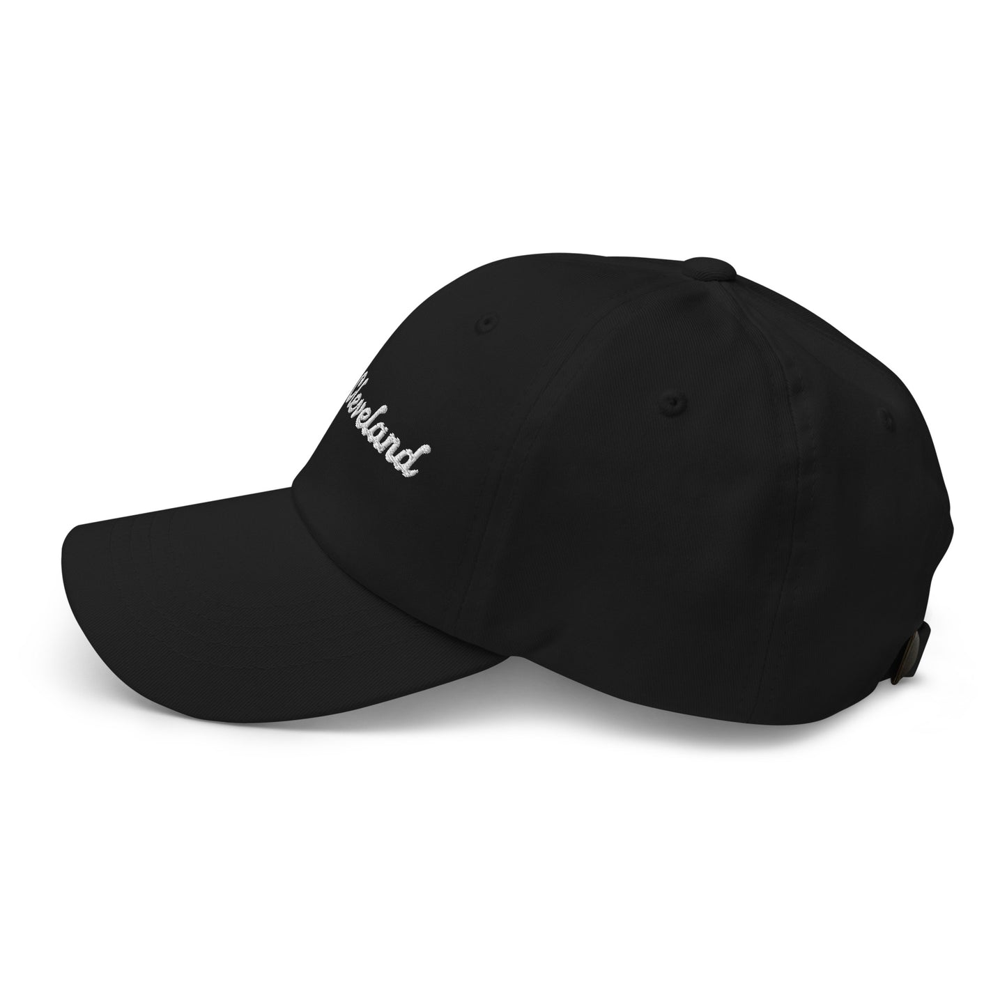 All Cleveland Dad Hat